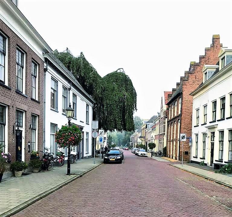 De Buurvrouw Nr.18 Bed & Breakfast Doesburg Ngoại thất bức ảnh